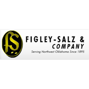 Figley-Salz & Co.'s logo
