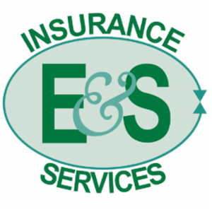 E & S Insurance Services's logo