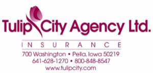 Tulip City Agency Ltd
