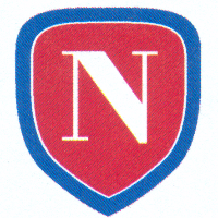 National Insurance Services's logo